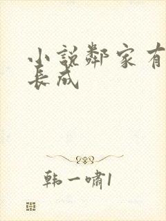 小说邻家有女初长成封面