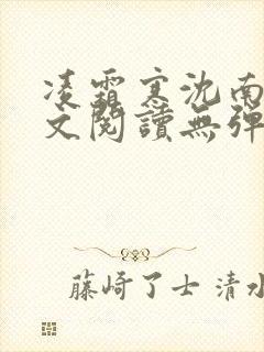 凌霜寒沈南稚全文阅读无弹窗笔趣阁封面