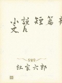 小说 短篇 辣文 h封面