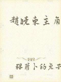 赵晓东主角小说