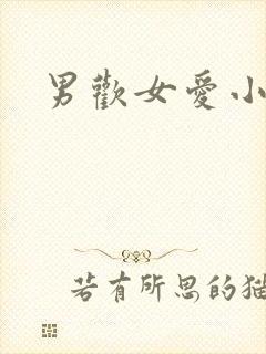 男欢女爱小说