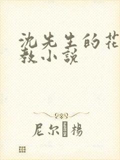 沈先生的花式调教小说封面