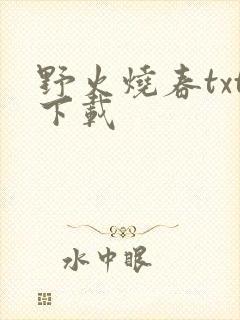 野火烧春txt下载