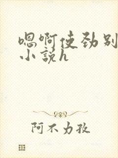 嗯啊使劲别停啊小说h封面