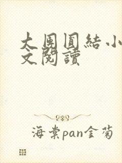 大团圆结小茹全文阅读