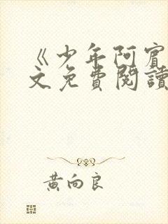 《少年阿宾》全文免费阅读封面