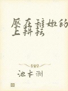 压在稚嫩的身体上耕耘