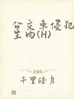 公交车侵犯小男生肉(H)