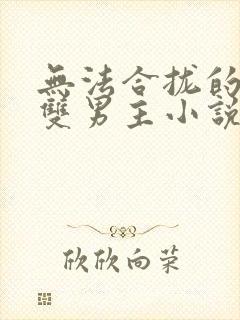 无法合拢的总裁双男主小说