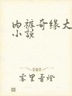 内裤奇缘大团结小说