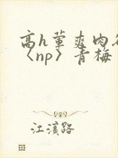 高h荤爽肉欲文〈np〉青梅