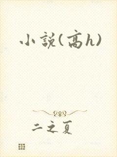 小说(高h)