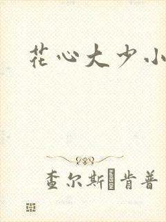 花心大少小说