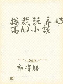 总裁玩弄奶头(高h)小说