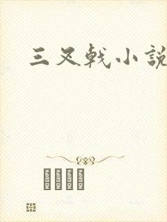 三叉戟小说封面