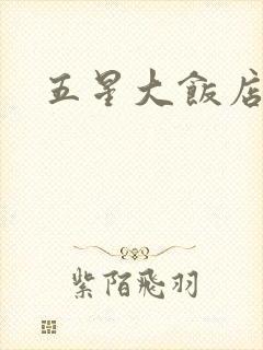 五星大饭店小说