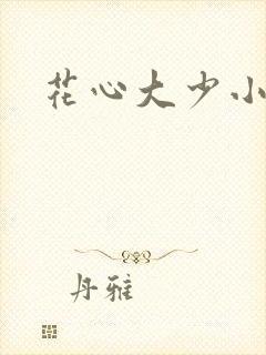 花心大少小说封面