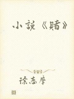 小说《赌》封面