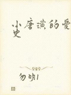 小唐璜的爱情历史