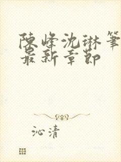 陈峰沈琳笔趣阁最新章节封面