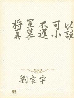 将军不可以魏云真慕迟小说笔趣阁