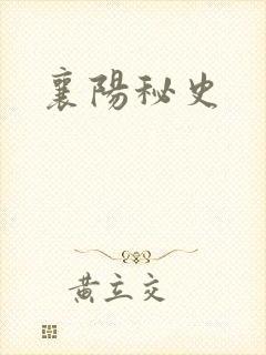 襄阳秘史
