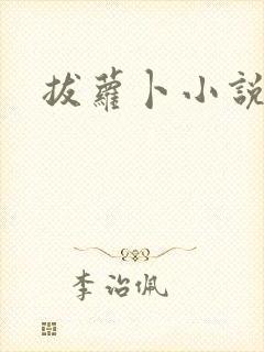 拔萝卜小说封面