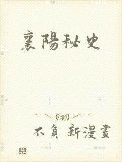 襄阳秘史