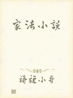 家法小说