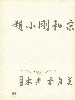 赵小刚和宋雨晴封面