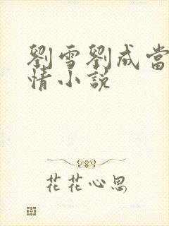 刘雪刘成当代爱情小说封面