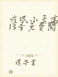 催眠小柔高达第13章免费阅读