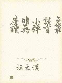 唐明小说免费阅读无弹窗最新章节下载封面