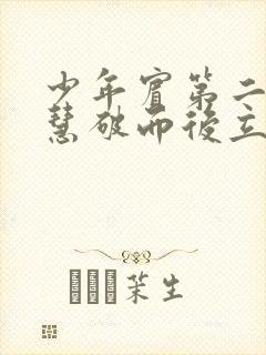 少年宾第二部珏慧破而后立封面