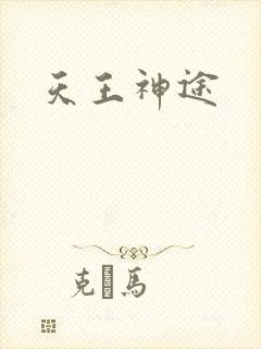 天王神途