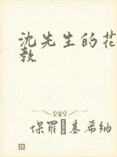 沈先生的花式管教