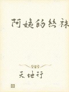 阿姨的丝袜小说