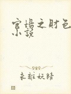 官场之财色诱人小说