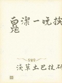 白洁一晚挨十二炮封面