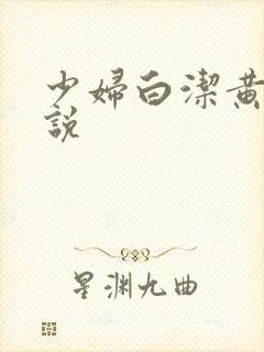 少妇白洁黄色小说封面