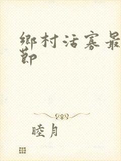 乡村活寡最新章节