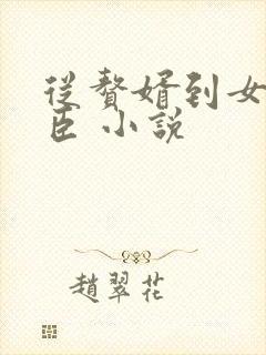 从赘婿到女帝宠臣 小说