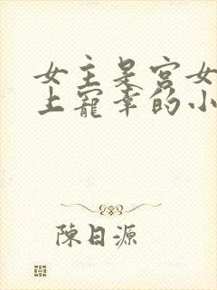 女主是宫女被皇上宠幸的小说