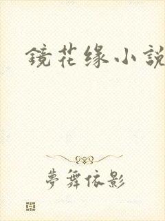 镜花缘小说封面