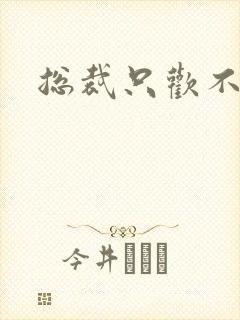 总裁只欢不爱封面