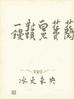 一对白花花的大馒头免费阅读