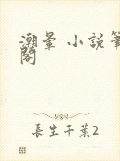 潮晕 小说笔趣阁