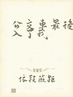 公交车最后一排入了我封面