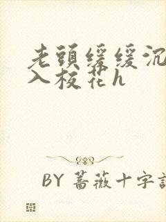 老头缓缓沉腰进入校花h封面