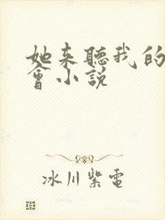 她来听我的演唱会小说